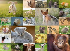 Ravensburger Puzzle pour enfants - 13353 Animaux doux pour enfants - Puzzle de 200 pièces pour les enfants à partir de 8 ans Puzzle Naty Shop