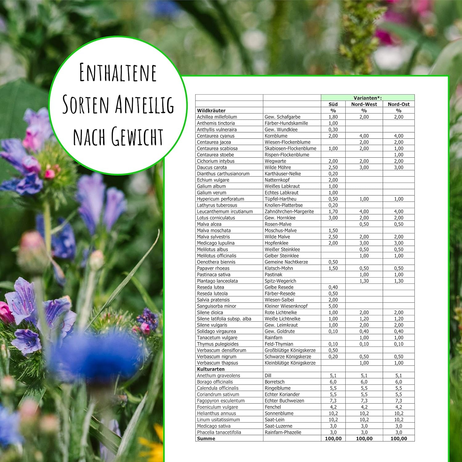 Graines d'abeilles - fleurs sauvages des prés, vivaces et résistantes à l'hiver, graines - plus de 40 fleurs indigènes et herbes sauvages, sélection spéciale d'espèces pour le sud de l'Allemagne, 50g