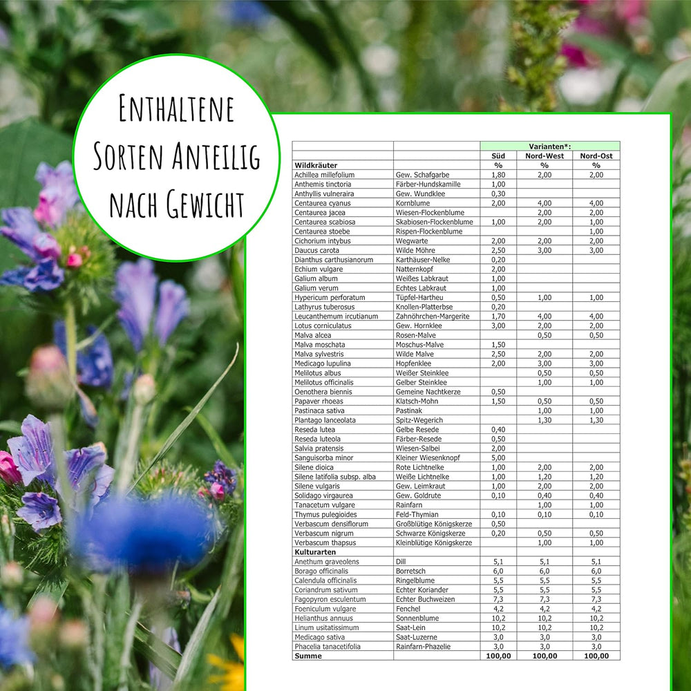 Graines d'abeilles - fleurs sauvages des prés, vivaces et résistantes à l'hiver, graines - plus de 40 fleurs indigènes et herbes sauvages, sélection spéciale d'espèces pour le sud de l'Allemagne, 50g