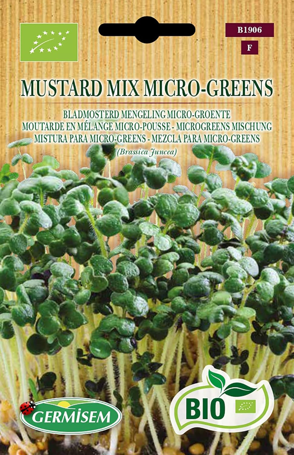 Microgreens Mischung MUSTARD MIX MICRO-GREENS, ECBIO1906