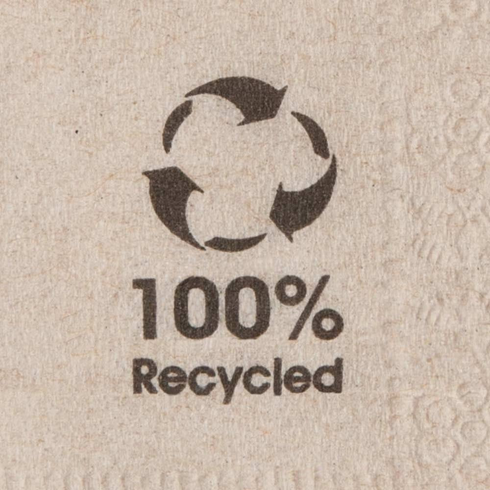 Serviettes écologiques biologiques fabriquées à partir de papier recyclé I Serviettes en papier de haute qualité 10 x 10 cm I 100 pièces Serviettes à cocktail non blanchies biodégradables compostables