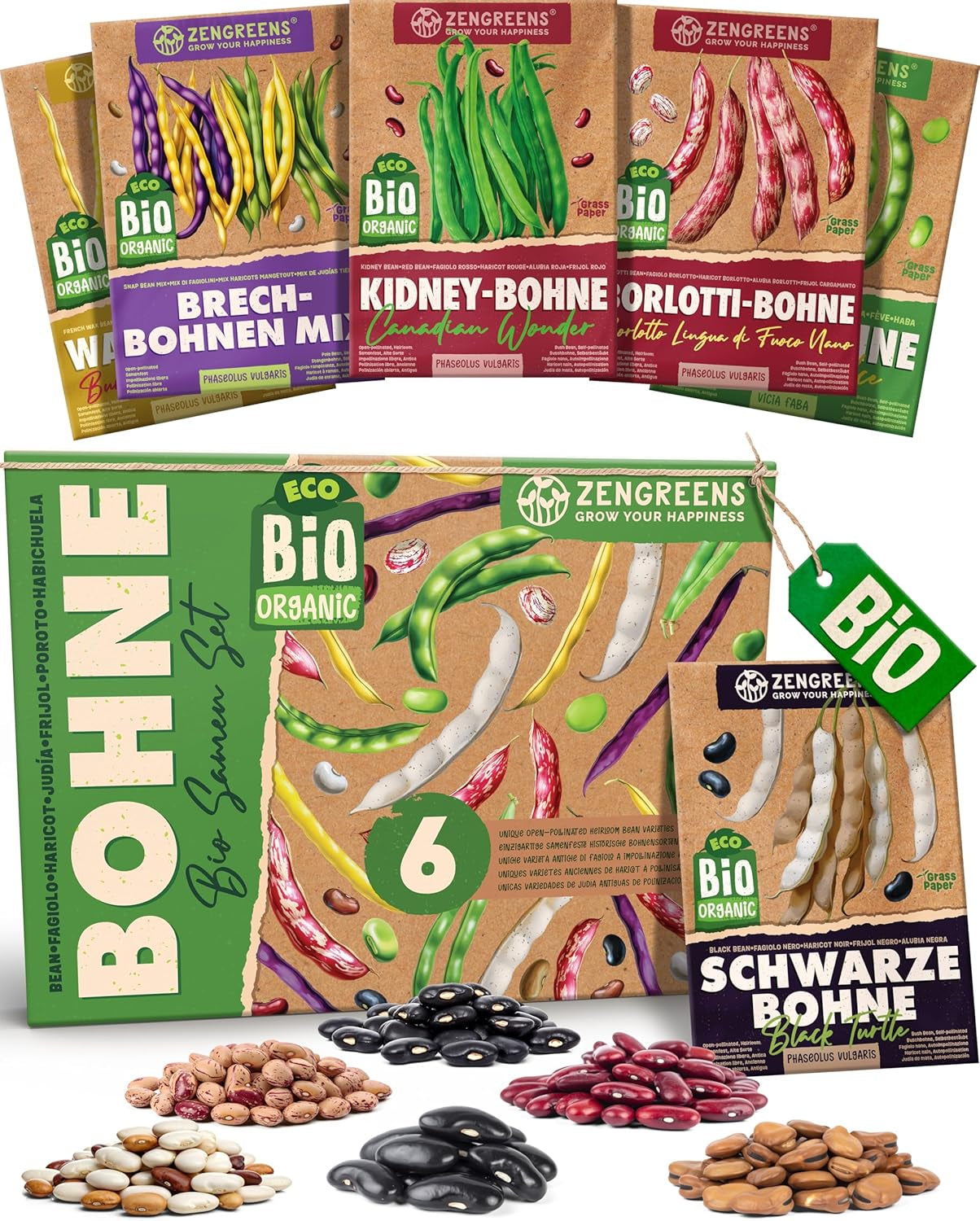 Graines de basilic biologiques dans un ensemble de 6 - 6 graines de basilic pour une culture facile dans le jardin, le balcon ou le parterre surélevé - Graines de plantes - Semis