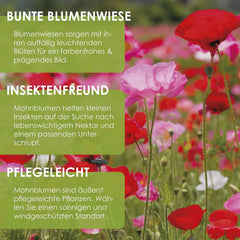 Klatschmohn Samen (Papaver Rhoeas) - Wunderschön Blühende Mohnblumen Mit Langer Blütezeit Für Eine Bunte Blumenwiese (Mix)