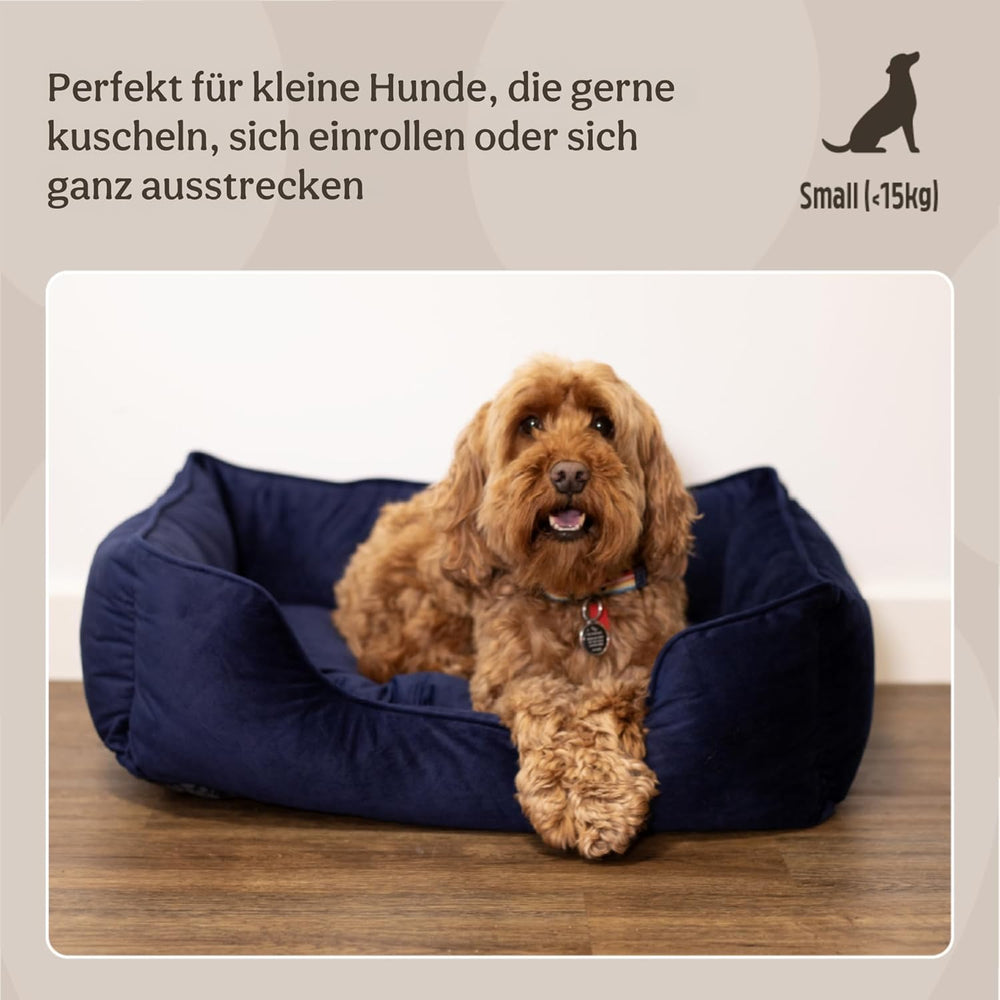 Lits et Canapés, Couvertures et Meubles, Animaux, Chats, Lits pour chats, Chats - lits, matelas