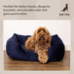 Lits et Canapés, Couvertures et Meubles, Animaux, Chats, Lits pour chats, Chats - lits, matelas