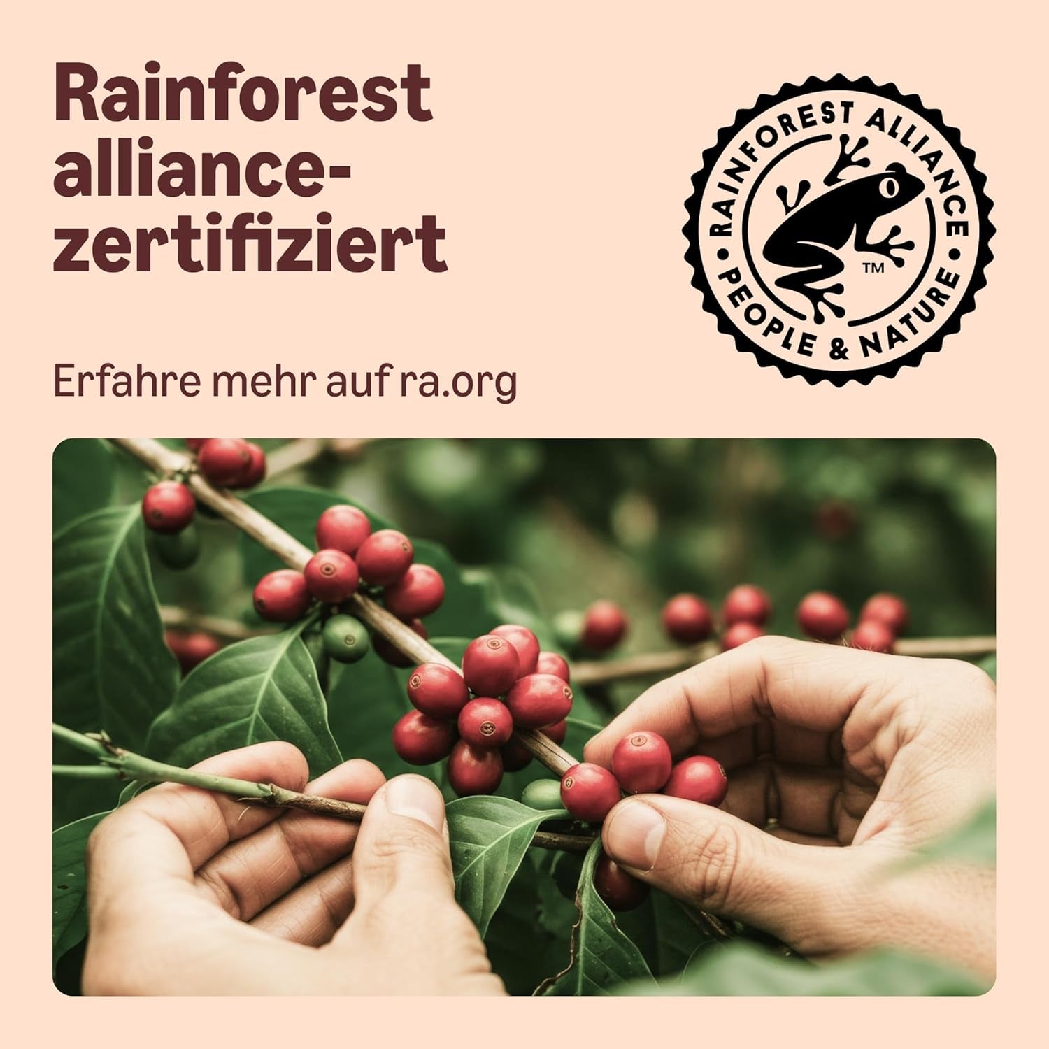 Par Amazon Capsules de café Heimkompostierbare, compatibles avec Nespresso, 100 % Arabica colombien, 20 pièces – Certifié Rainforest Alliance
