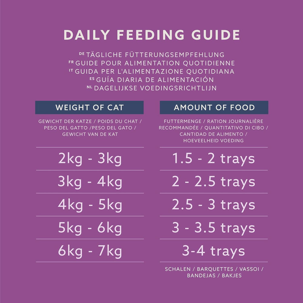 Lifelong by Amazon Katzenfutter, nass, Pastete mit Geflügel, 100 g, 16 pièces