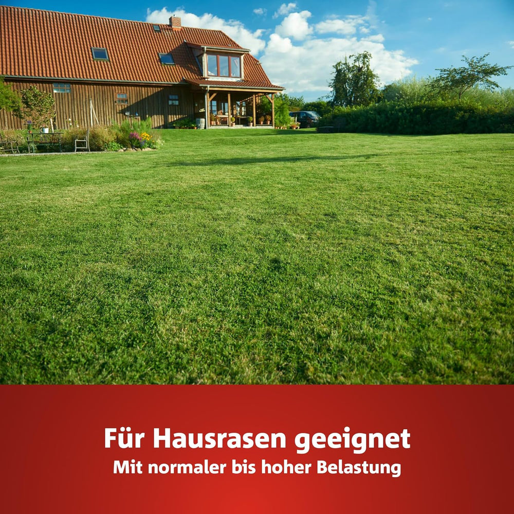 Wolf-Garten Sport- & Spielrasen LG 125 (Für 125 M², Schnell Nutzbar & Trittfest, Strapazierfähiger Rasen Für Sport- & Spielplätze, Hausgarten, Für Alle Bodenarten Geeignet, Im 2,5 Kg Beutel) 3825020