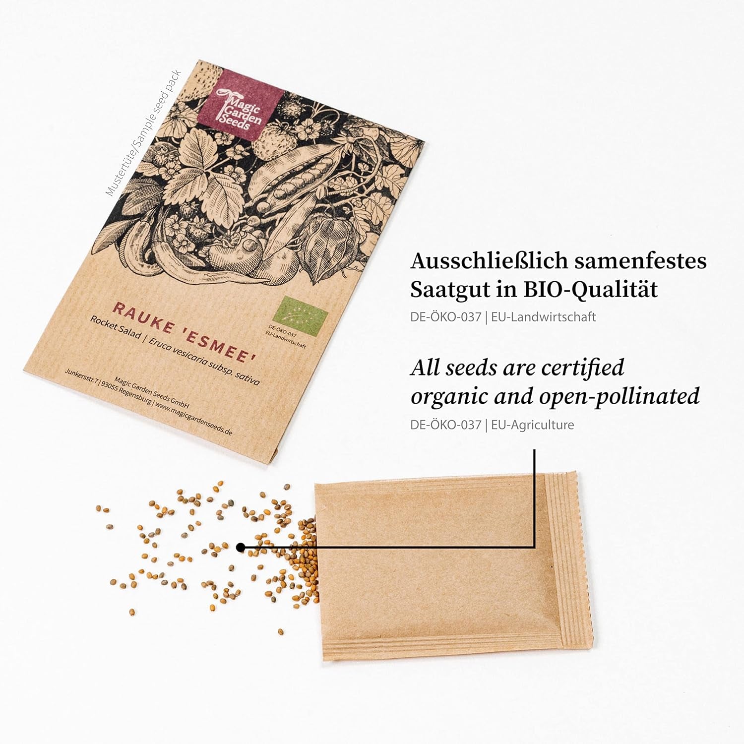 Nos plantes préférées : Plantes vivaces et fleurs d'été pour les amateurs de fleurs (biologiques) - Coffret cadeau de graines avec 6 jolies variétés pour une explosion florale sauvage - vous rend heureux !