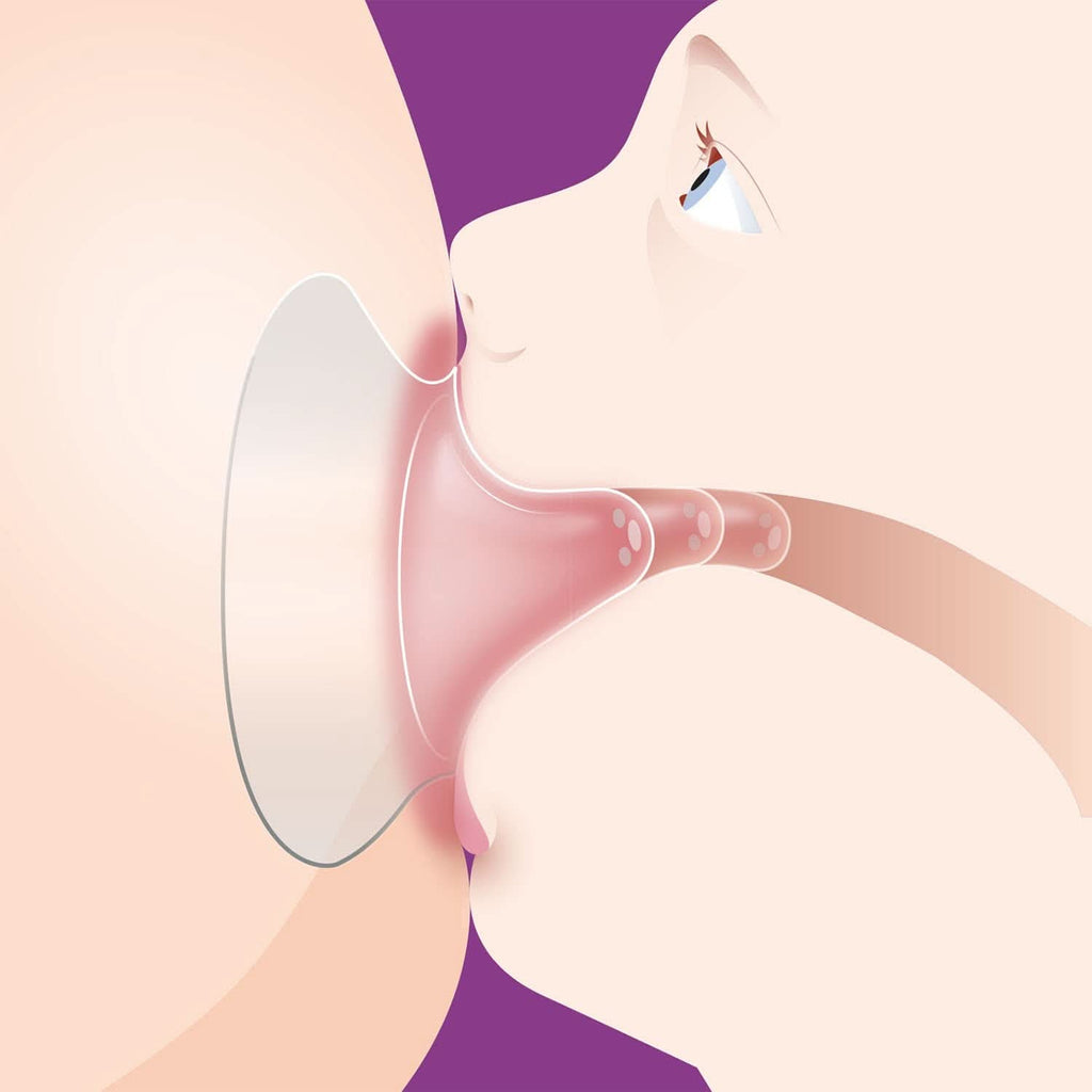 Protecție mamelon Philips Avent (model SCF153/03) Accesorii Hrana si Alaptare Bebe Naty Shop