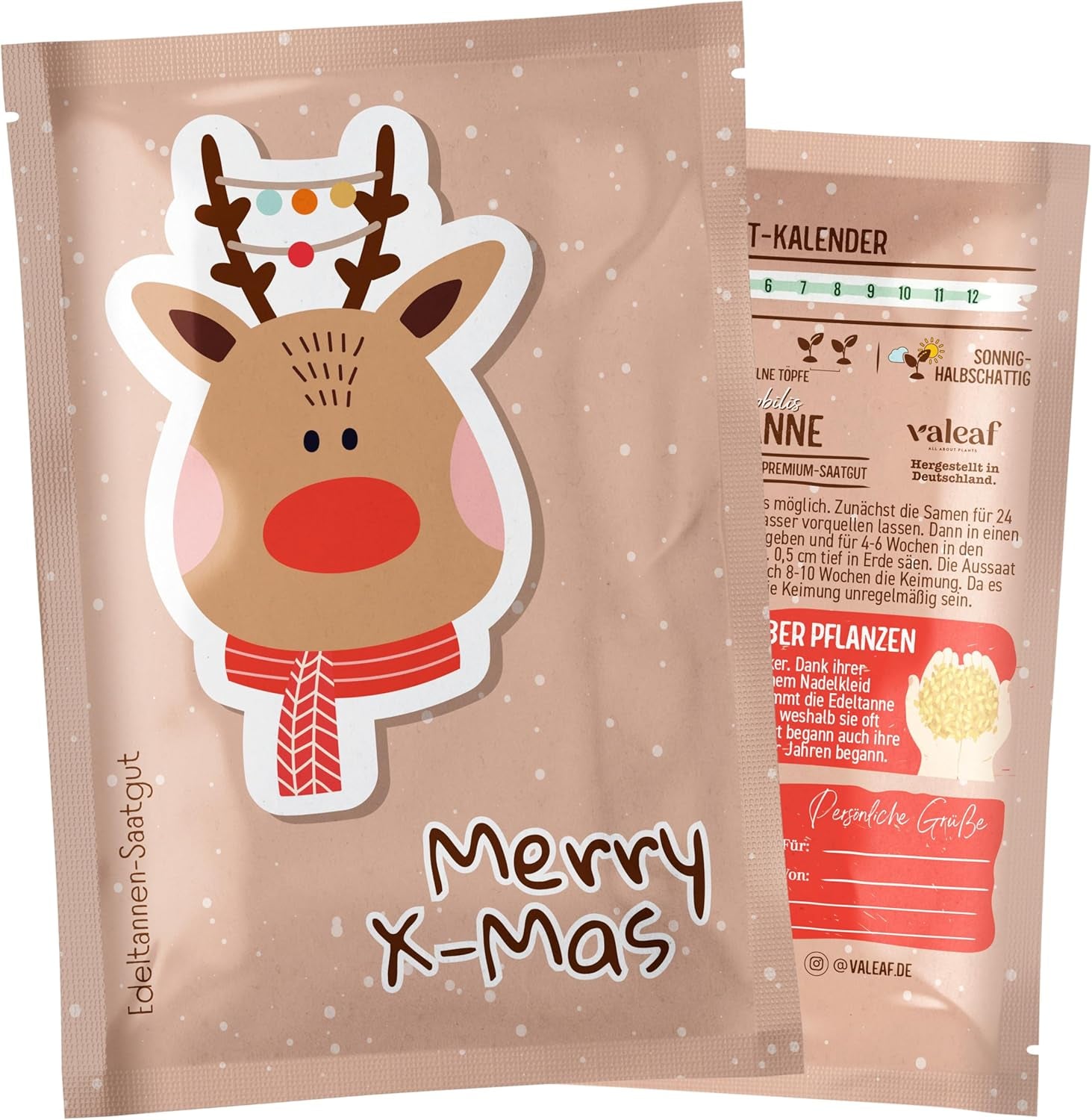 Sapin de Noël 2030 - Graines d'arbre de Noël Nordmann pour planter un sapin de Noël, idéales comme cadeau de Noël Secret Santa