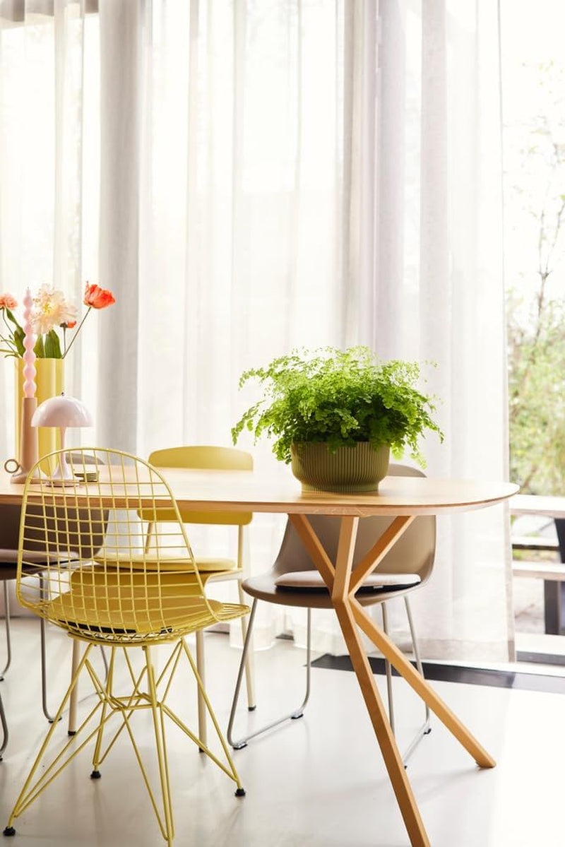 elho Vibes Fold Bowl 25 - Pots de fleurs d'intérieur - 100% plastique recyclé - Ø 24,9 x H 12,1 cm - Vert/Ferngrün