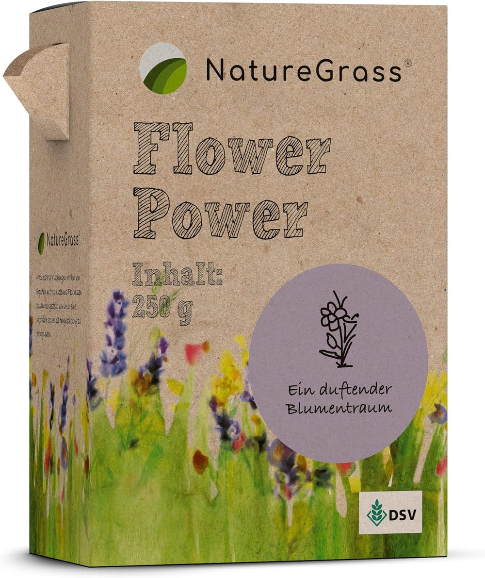 Flowerpower | Blumenmischung Mehrjährig Winterhart | Wildblumensamen Für Eine Blütenreiche Blumenwiese | Bienenfreundliche Blumensamen Für Garten & Balkon | 250G Für 65 M²