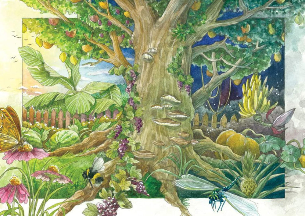 Schmetterlingsgarten - Samen-Geschenkset Mit 5 Nektarreiche Blühpflanzen, Die Gerne Von Schmetterlingen Besucht Werden