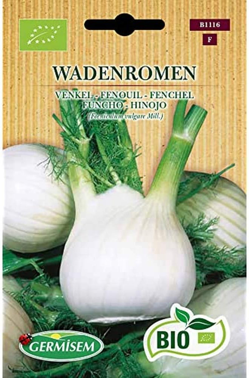 Fenchel WADENROMEN, ECBIO1116