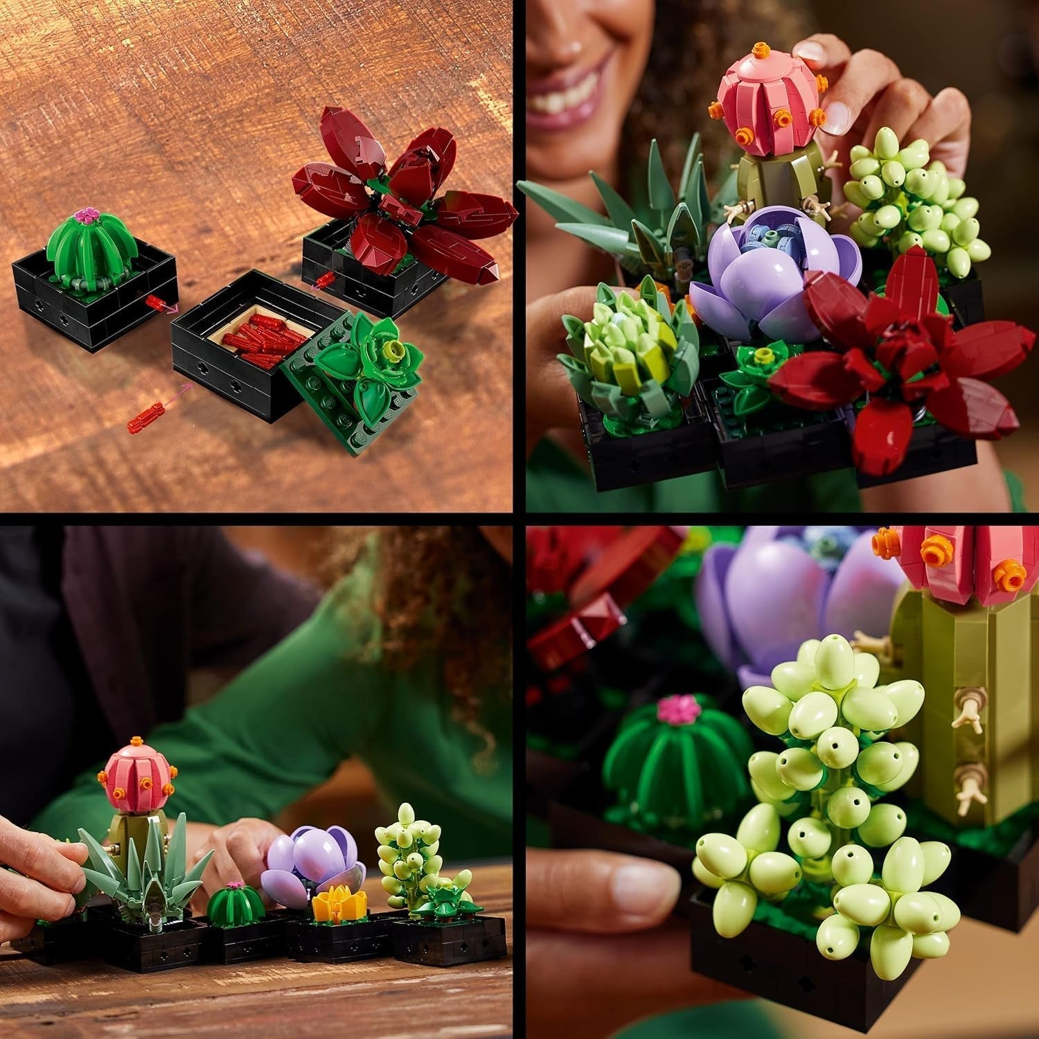 LEGO Botanicals Succulents - Set de construcție flori artificiale pentru adulți - Set de construcție buchet de flori - Hobby creativ și decorațiuni pentru casă - Idee de cadou pentru femei și bărbați - Colecție botanică (9 plante) 10309 Seturi de constructie Besuche den LEGO-Store