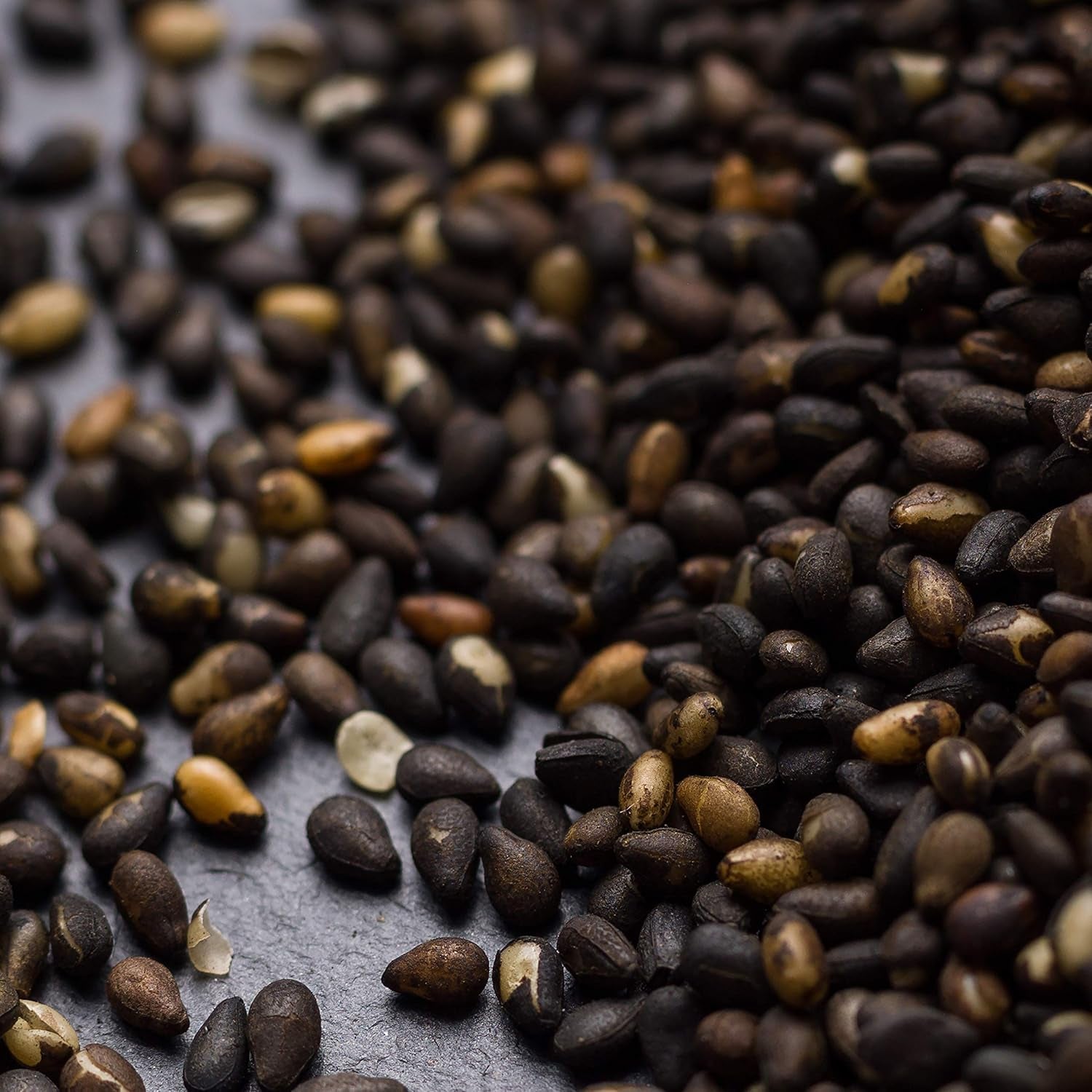 - Gerösteter schwarzer Sesam 150g | Ballaststoffreich | Proteinquelle | vegan | Reiches Aroma | Antioxidantien | Einfach streuen