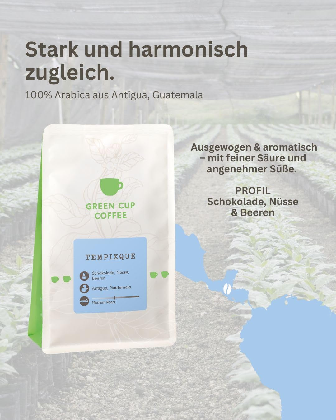 Café - Tempixque I 100% Arabica I Kaffeebohnen 1kg I Idéal pour les machines à café, les cafetières et les presses françaises avec schokoladig, nussigen Aroman I miltre Röstung