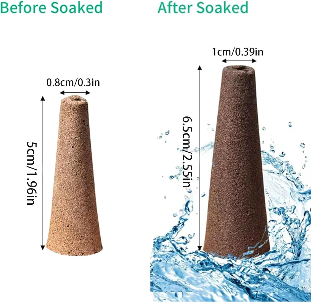 50 éponges de culture de remplacement, tubes d'établissement de semences, bouchons d'éponge de culture de racines, kits de culture hydroponique pour systèmes de culture hydroponique, culture hydroponique d'intérieur, jardin