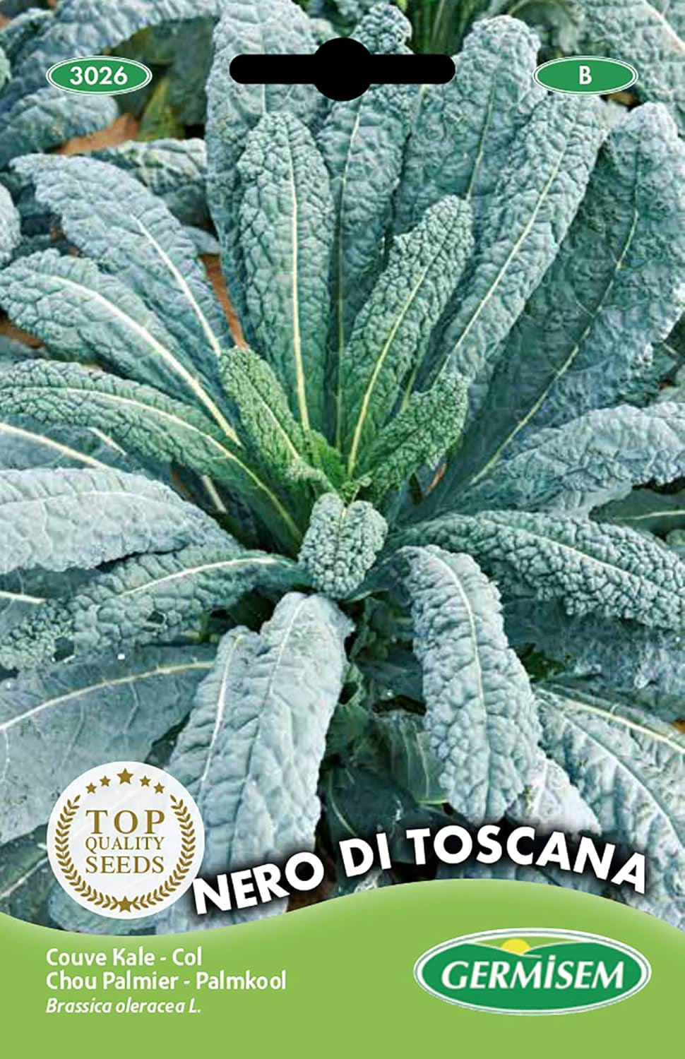 Palmkohl NERO DI TOSCANA, Mehrfarbig, EC3026