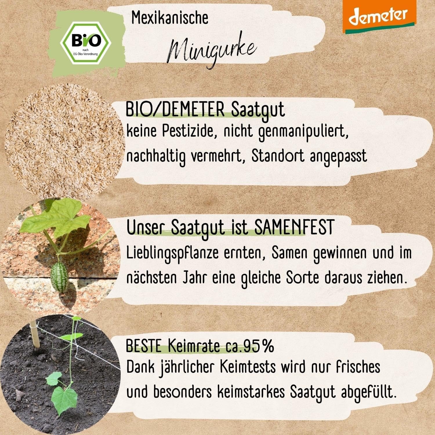 Mini graines de concombre mexicaines biologiques, 10 graines de concombre, taux de germination élevé, certifiées Demeter et pollinisation ouverte | LOVEPLANTS Graines de légumes pour lit surélevé de jardin de balcon - Variétés de légumes d'héritage