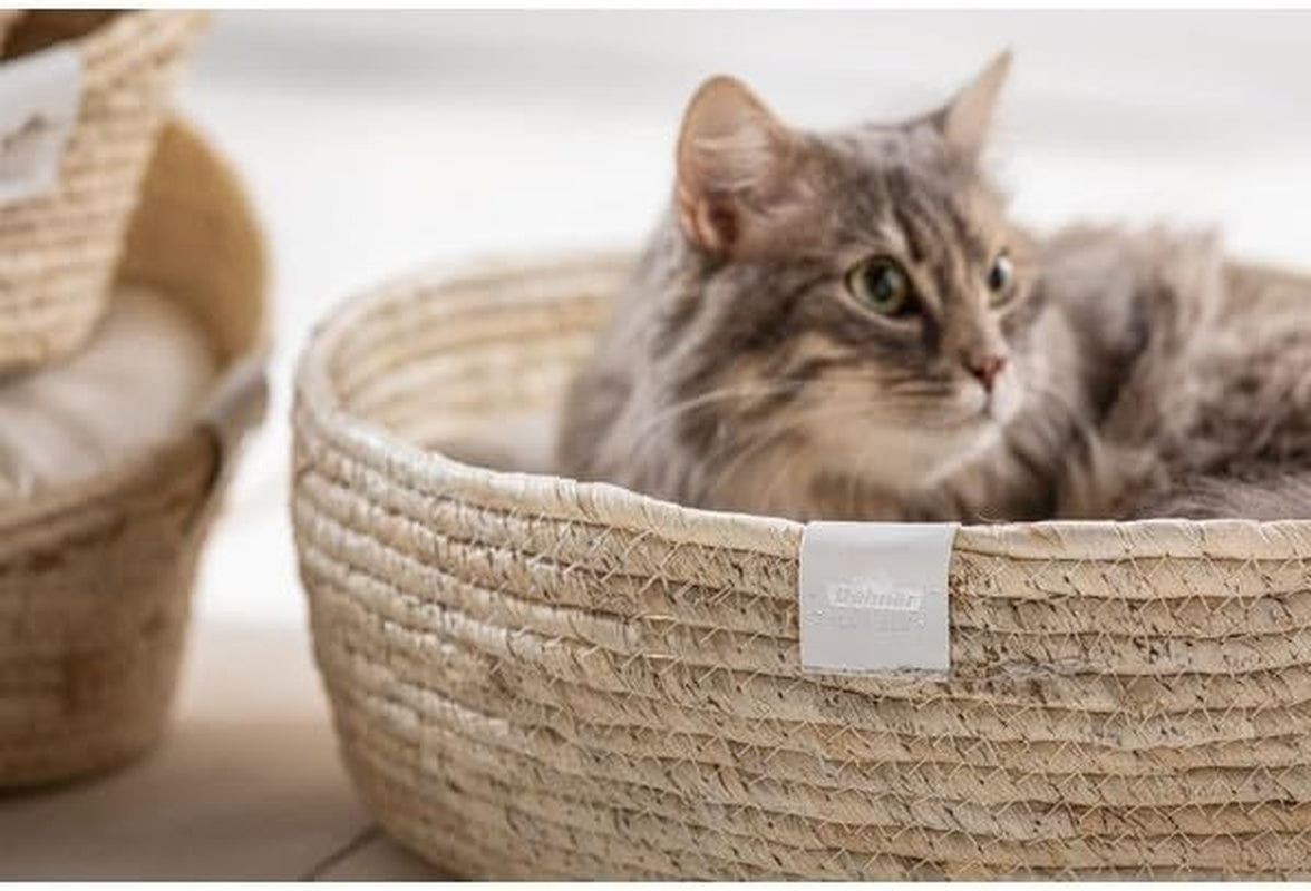 Lits, couvertures et meubles, animaux, chats, lits pour chats, Chats - lits, matelas