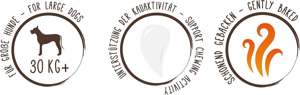 Pièces de monnaie Muesli de Sammy | Collations croustillantes au four pour chiens | 5 pièces de muesli aux céréales pour votre grand ami à quatre pattes (30 kg+) | 1kg