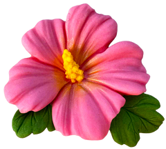 DeliciiPetale Décoration de Fleurs d'Hibiscus Comestibles - Taille 9,5 cm, Décoration de Gâteau Décorative