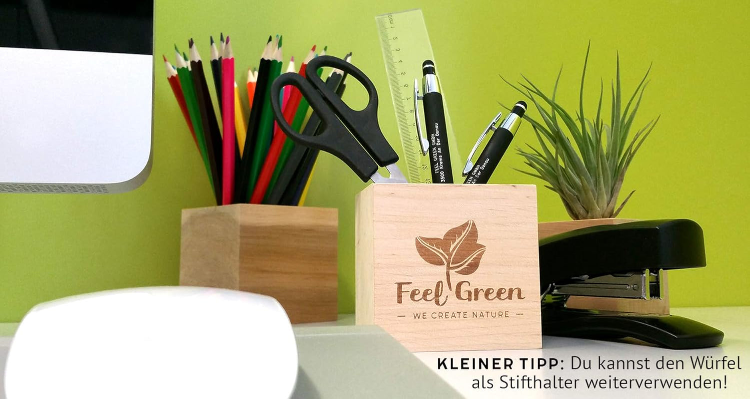 Feel Green Message Cube, Holzwürfel Mit Lasergravierter Glücksbohne"Danke", Nachhaltige Geschenkidee, 100% Eco Friendly, Anzuchtset, Made in Austria