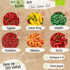 Ensemble de graines de piment biologique – 6 graines de piment biologique, douces à extrêmement épicées, qualité pollinisée librement | du Habanero épicé aux variétés de piments colorées et traditionnelles – Pepperoni Seeds