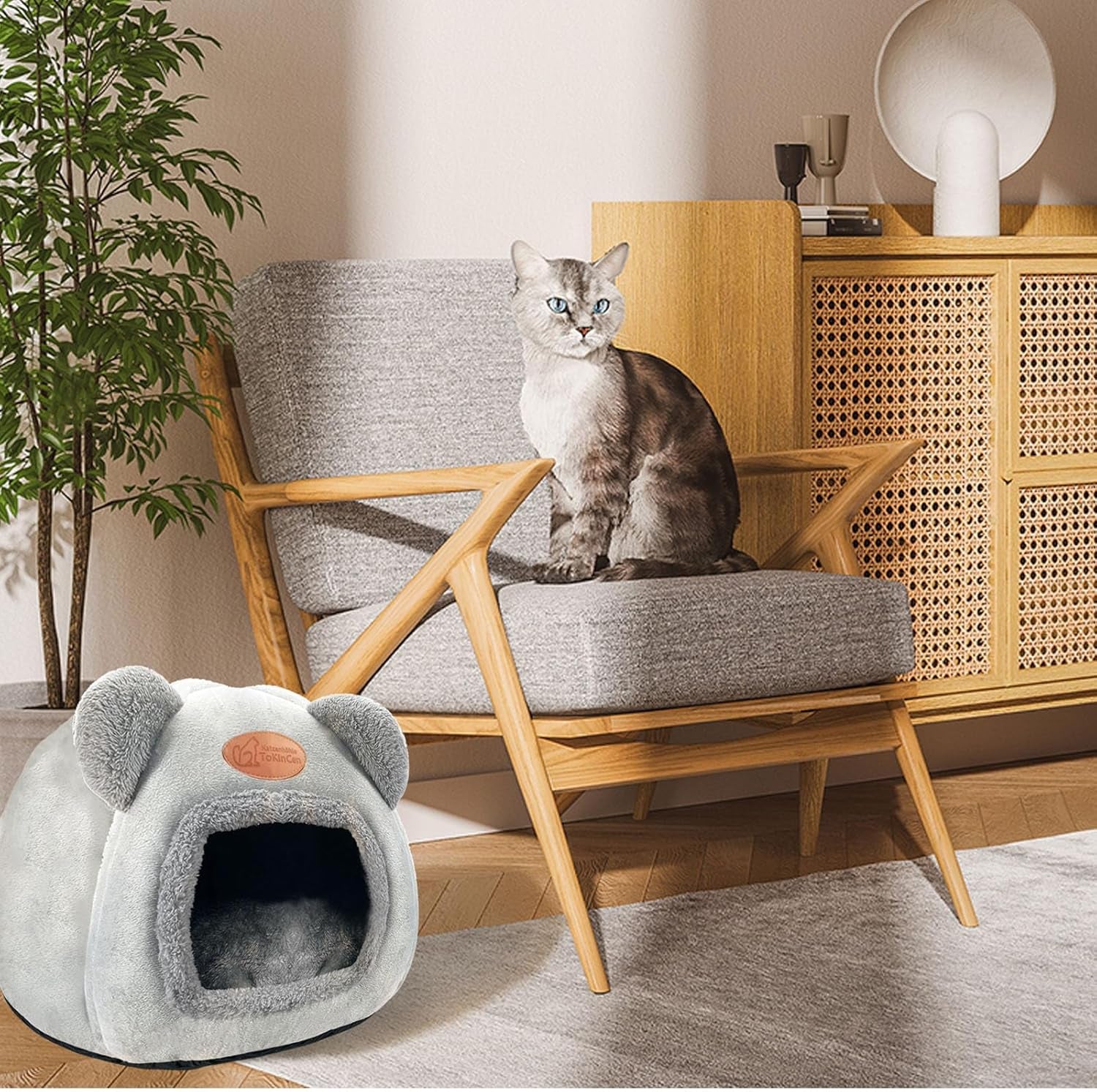 Couvertures et meubles, Animaux, Grottes et maisons, Chats, Lits pour chats, Chats - lits, matelas
