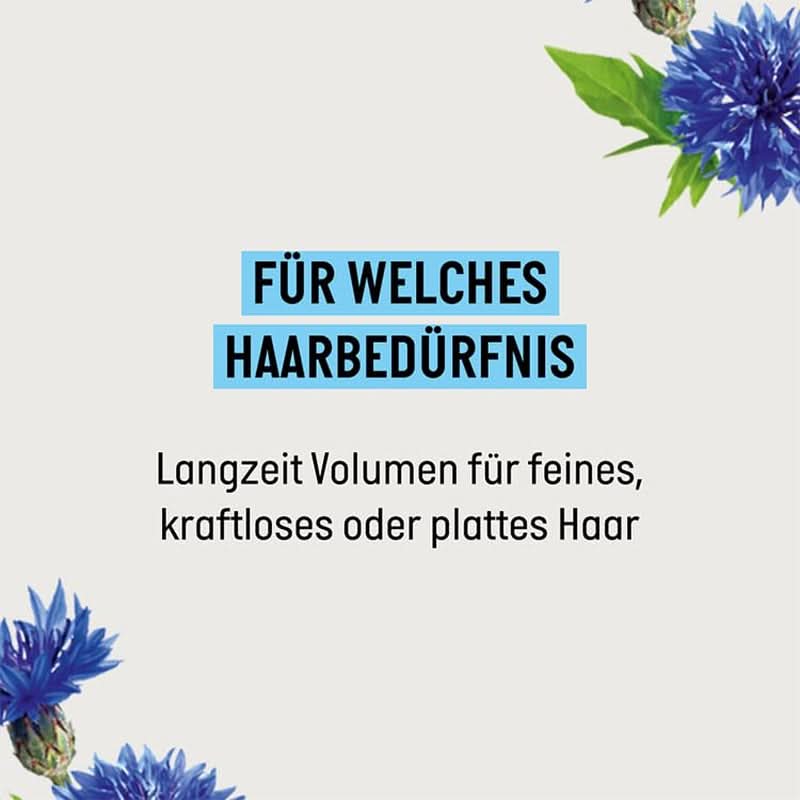 Guhl Shampoing Volume Longue Durée - 250 ml Naty Shop