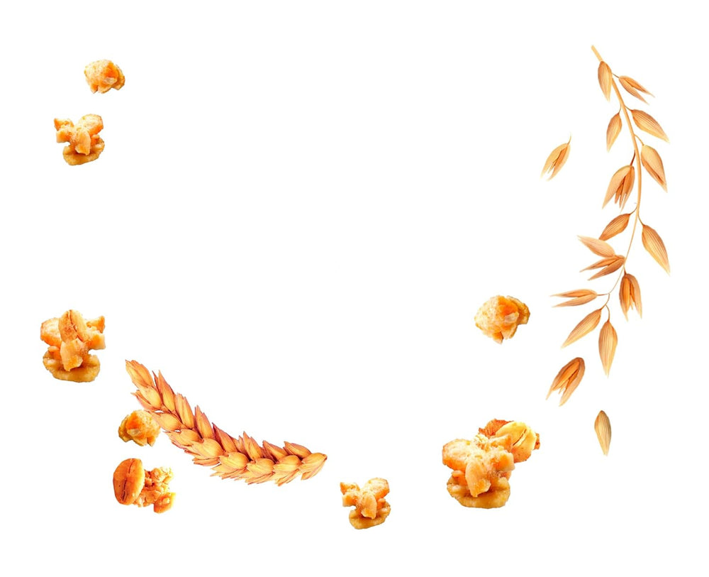 Dr. Oetker Vitalis Less Sweet Crunchy Pure : Muesli croquant avec 30 % de sucre en moins, paquet de 5 (5 x 600 g)