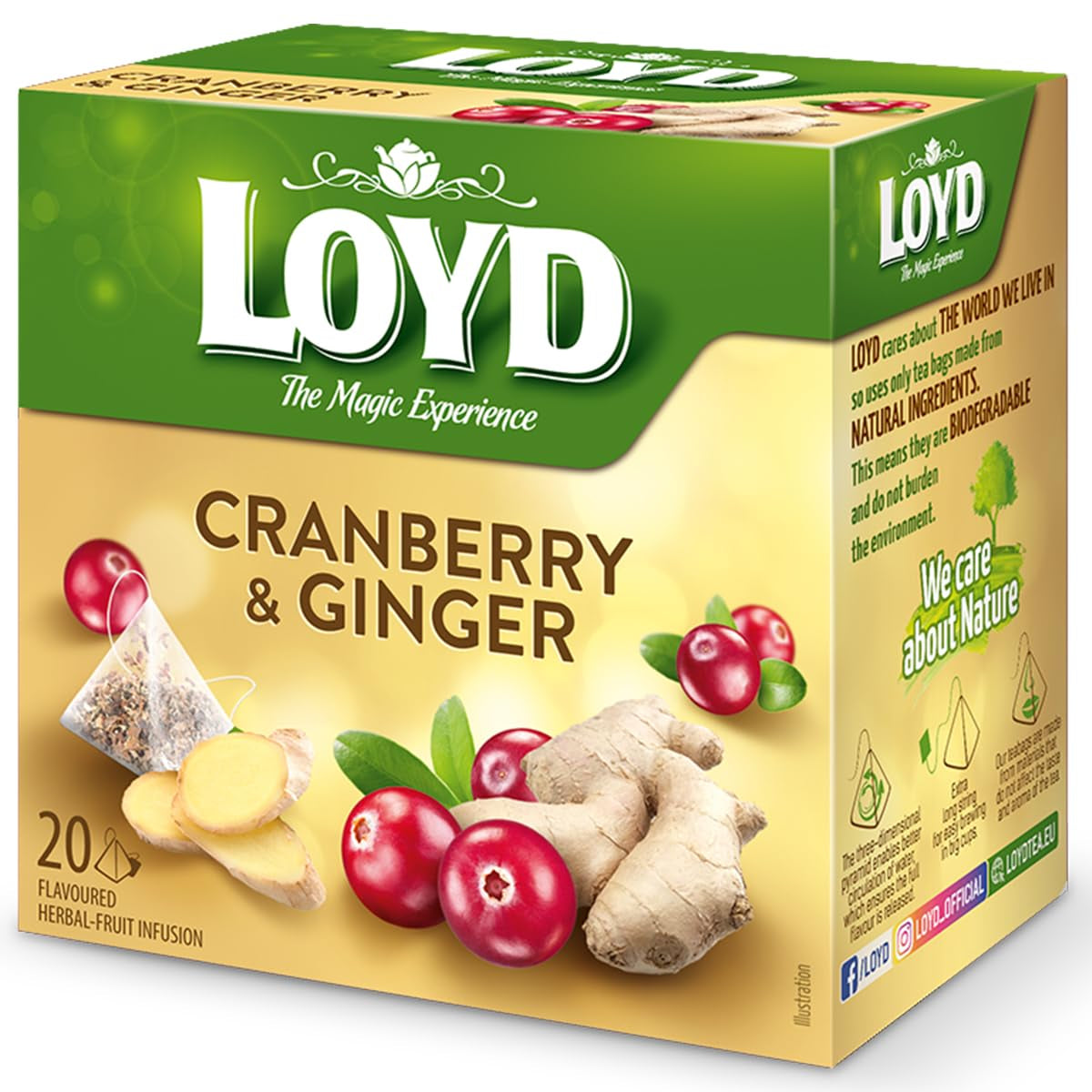 LOYD - Ceai de fructe Cranberry and Raspberry - 20 pliculețe piramidale - Amestec aromat de ceai de fructe cu afine, zmeură, frunze de mur - Gust dulce și intens - 40 g