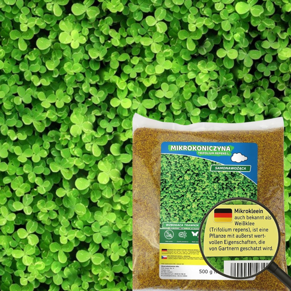 Flower Meadow - Mélange de graines de fleurs respectueuses des abeilles - Fleurs sauvages et graminées pour endroits secs - Graines de fleurs sauvages - Mélange de graines annuelles et vivaces