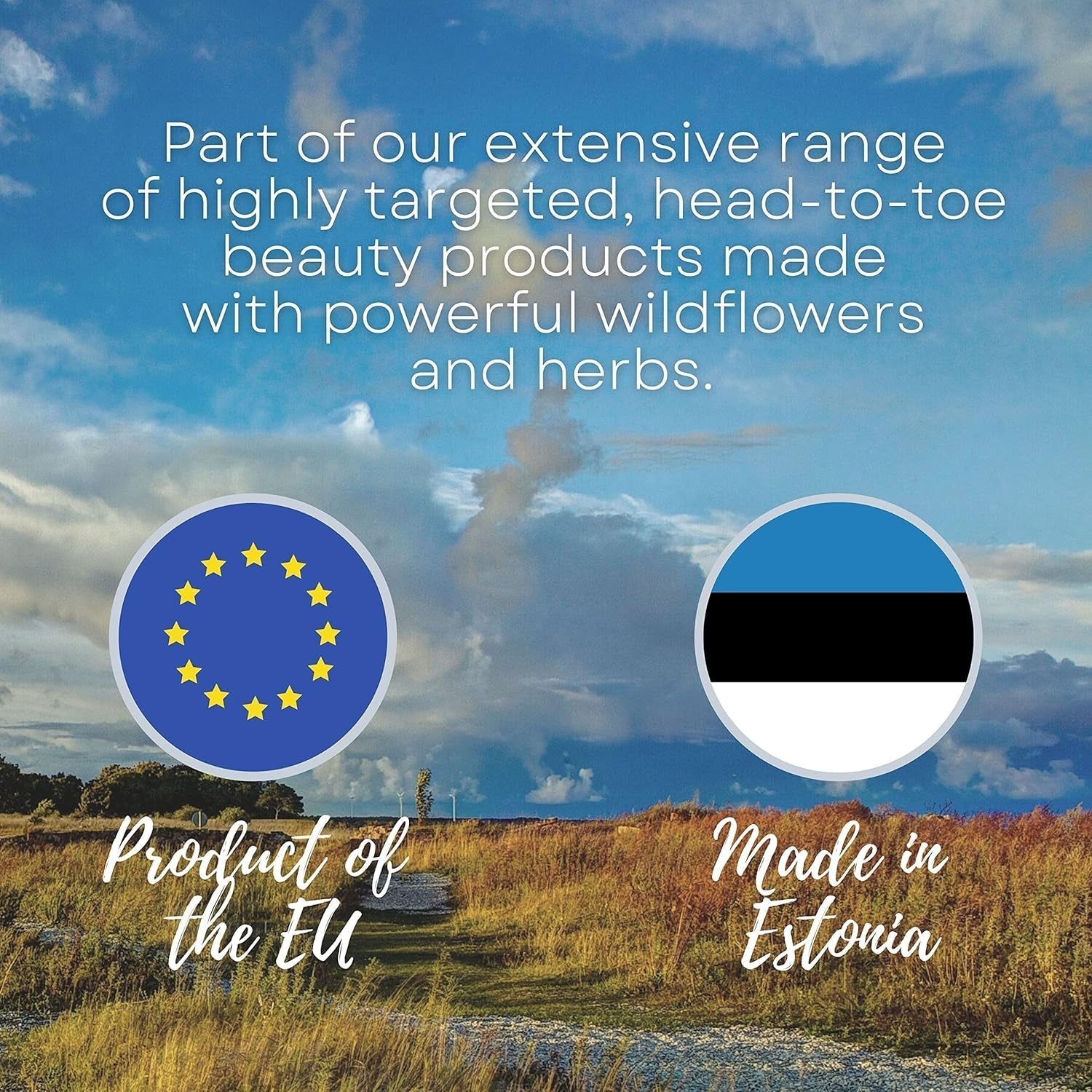 Masque Natura Siberica Oblepikha pour cheveux très abîmés, 1 paquet (1 x 170 ml) Masque capillaire Naty Shop