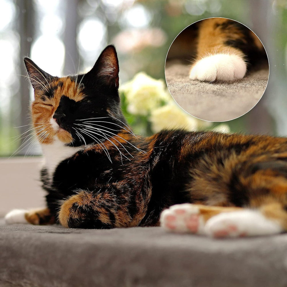 Couvertures et meubles, Sièges de fenêtre, Animaux domestiques, Chats, Lits pour chats, Chats - lits, matelas