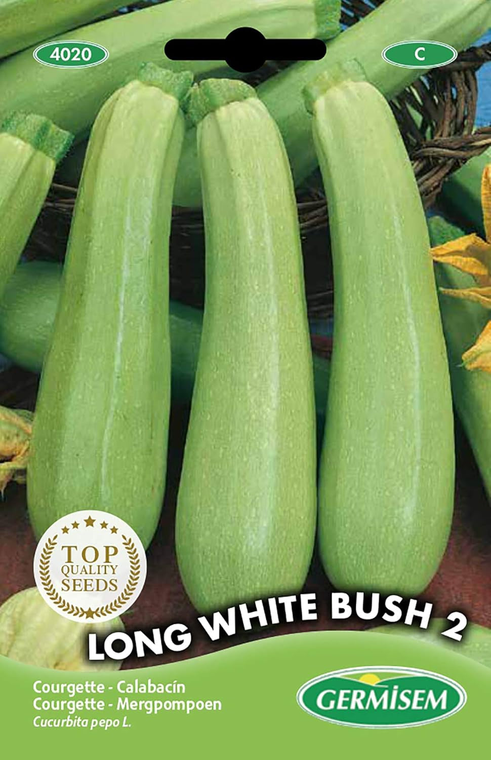 Zucchini WITHE BUSH 2, Mehrfarbig, EC4020
