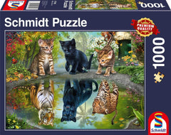 Schmidt Spiele 57392 Dream Big, chats, puzzle 1000 pièces Puzzle Naty Shop Titre par défaut