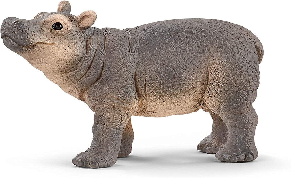 Schleich 14831 Jeune hippopotame, pour les enfants à partir de 3 ans, WILD LIFE - figurine de jeu Figurines Naty Shop Titre par défaut