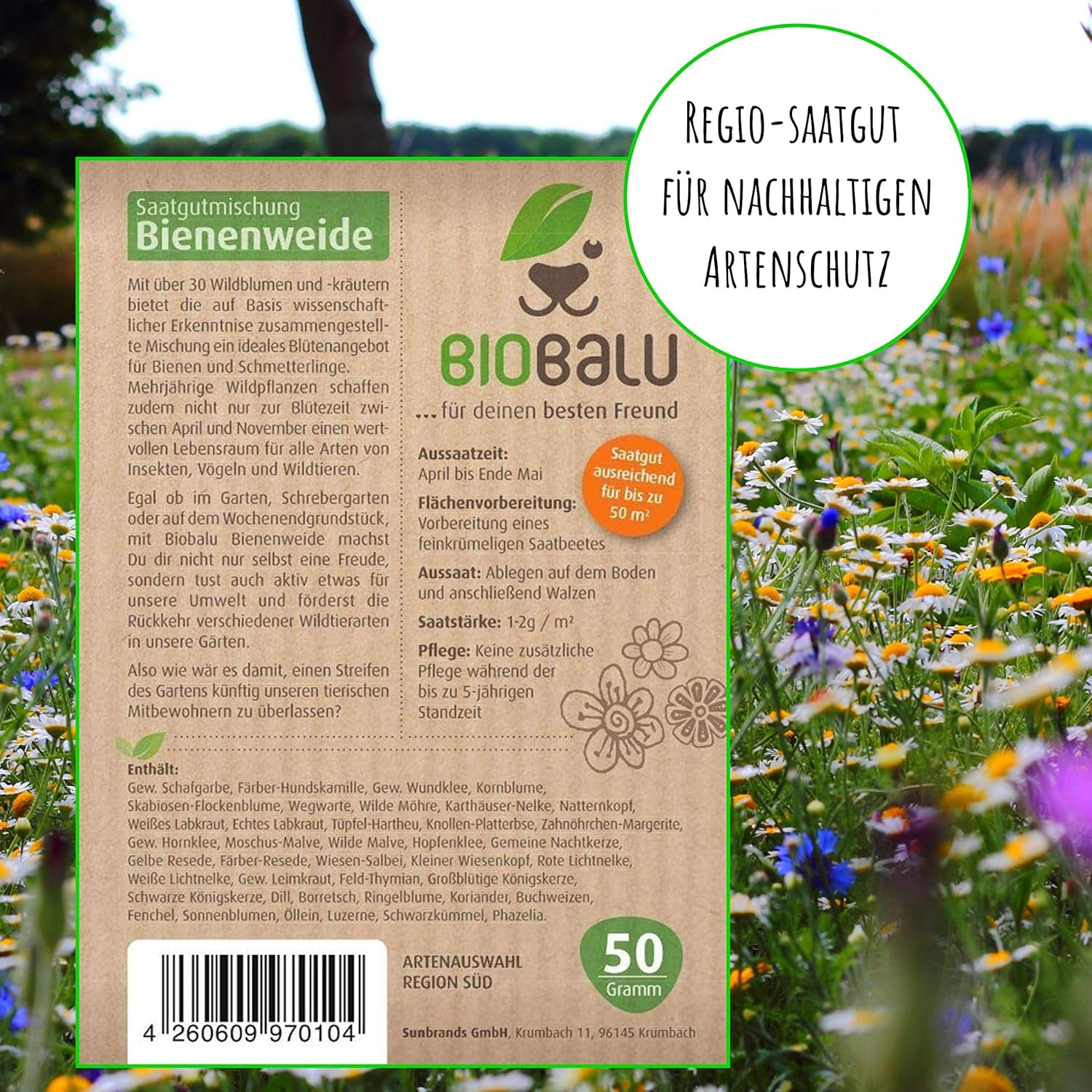 Graines d'abeilles - fleurs sauvages des prés, vivaces et résistantes à l'hiver, graines - plus de 40 fleurs indigènes et herbes sauvages, sélection spéciale d'espèces pour le sud de l'Allemagne, 50g