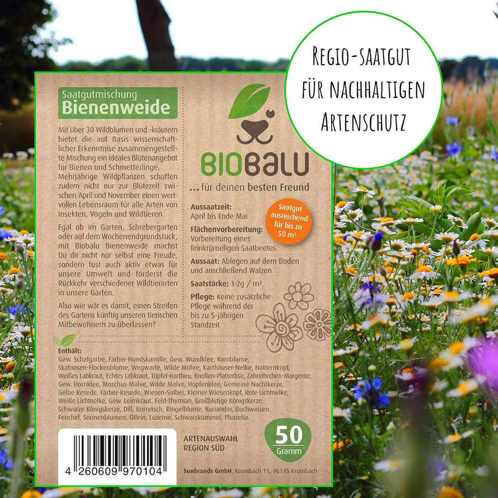 Graines d'abeilles - fleurs sauvages des prés, vivaces et résistantes à l'hiver, graines - plus de 40 fleurs indigènes et herbes sauvages, sélection spéciale d'espèces pour le sud de l'Allemagne, 50g