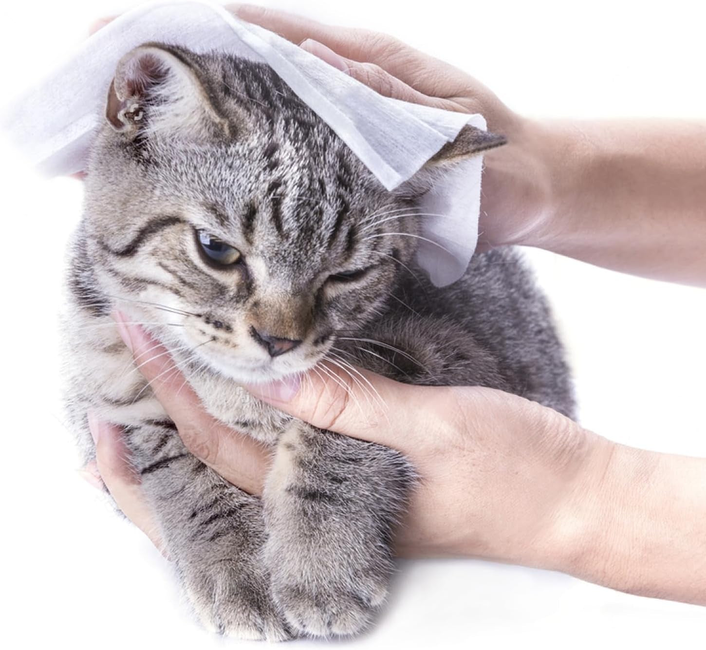 Go NPKGO00612 Lingettes nettoyantes en capsules au thé vert, viscose, blanc, paquet de 12