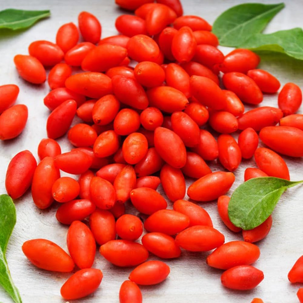 Goji Beeren, Bodendecker Gartenkräuter Wolfsbeeren, Lycium Chinense, Nachhaltige Geschenke Geschenke Für Gärtner Exotische Seltene Bio 100Samen