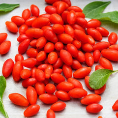 Goji Beeren, Bodendecker Gartenkräuter Wolfsbeeren, Lycium Chinense, Nachhaltige Geschenke Geschenke Für Gärtner Exotische Seltene Bio 100Samen