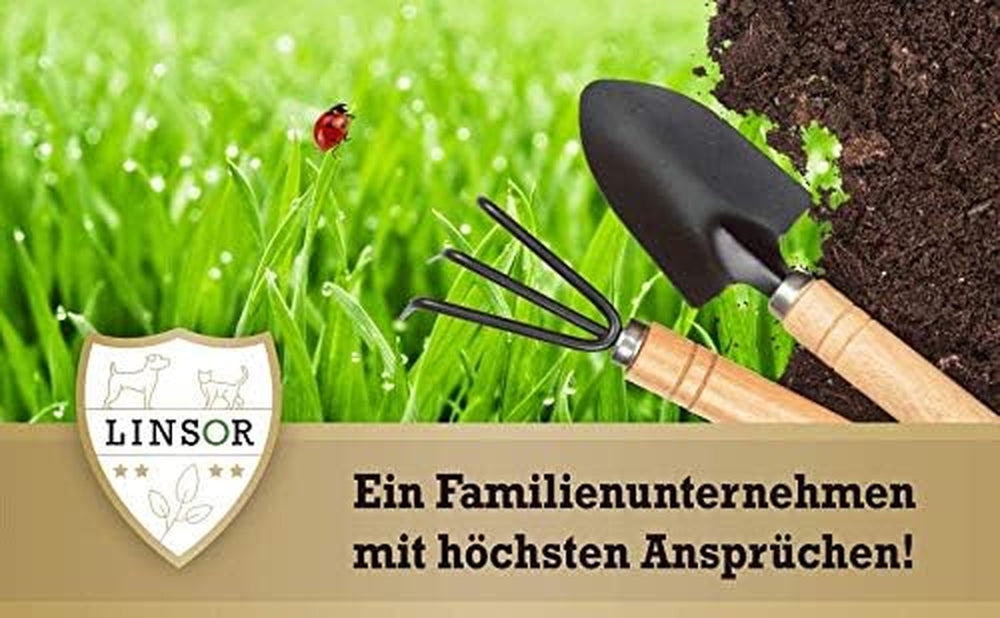 Rasensamen Frühjahr Frühlingsrasen 1Kg Rasensamen Schnellkeimend Für Neuanlage Und Nachsaat Zur Rasenreparatur Nach Winter Und Frostschäden Saatgut