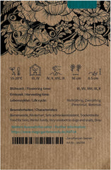 Camomille de teinture (Anthemis tinctoria) - environ 800 graines de la plante tinctoriale traditionnelle et de la fleur sauvage vivace