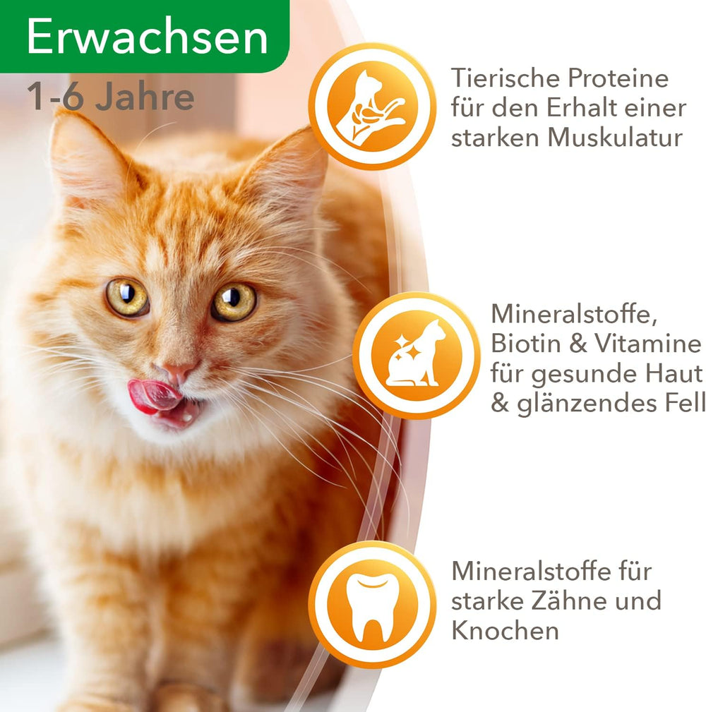 IAMS Delights Nourriture humide pour chat au bœuf juteux et carottes en gelée – Nourriture humide complète pour chat adulte, 24 sachets x 85 g