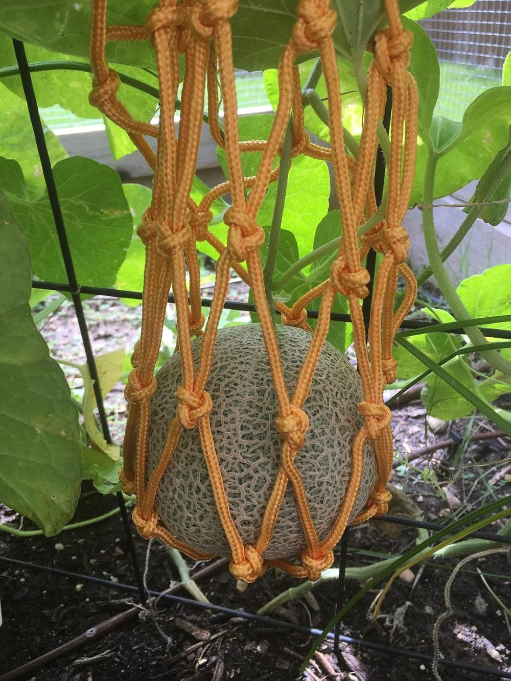 Melonen Hängematten Wiegen, 5 Stück Netze Für Melonen, Perfekt Für Den Anbau Von Cantaloupe, Wassermelone Im Vertikalen Garten (Orange)