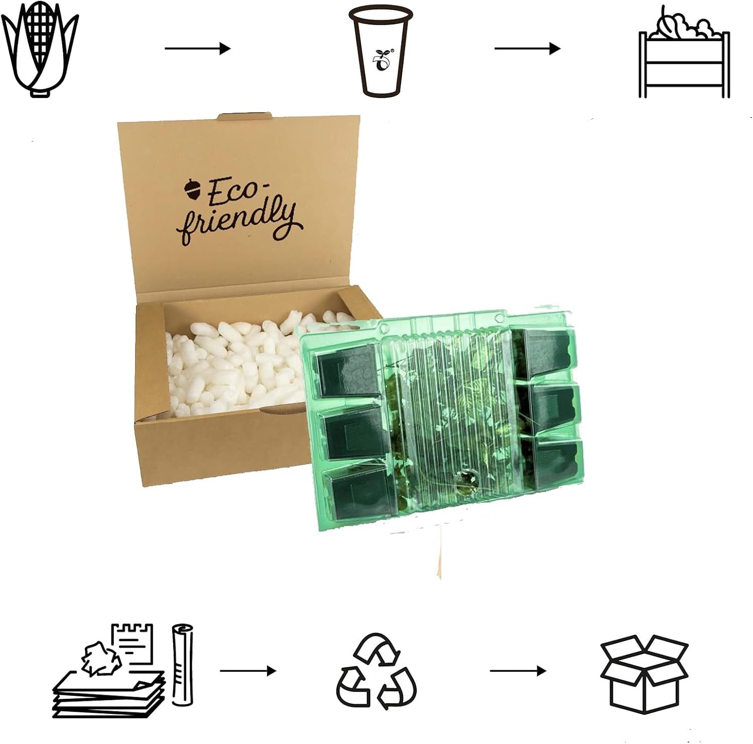 6 x Jardin Scheinsonnenhut 'Doubledecker' - Echinacea Purpurea 'Doubledecker' Pot 9x9cm : Double Blüten, einzigartige Optik, zieht Bienen an, idéal pour le jardin.